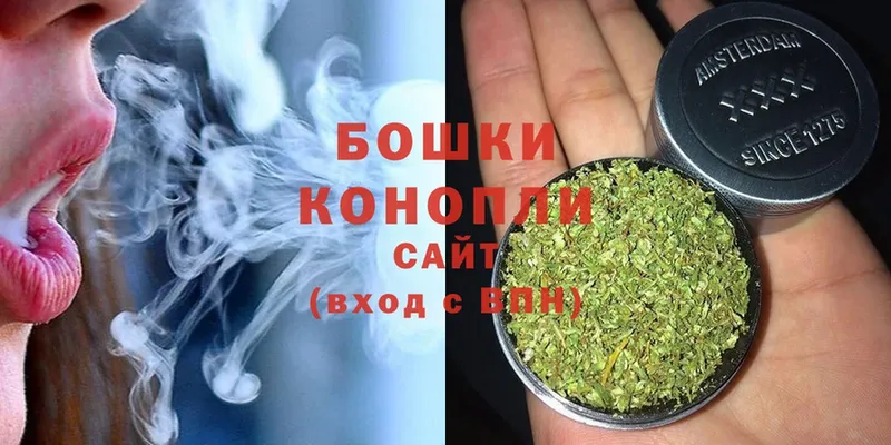 Шишки марихуана White Widow  Томари 